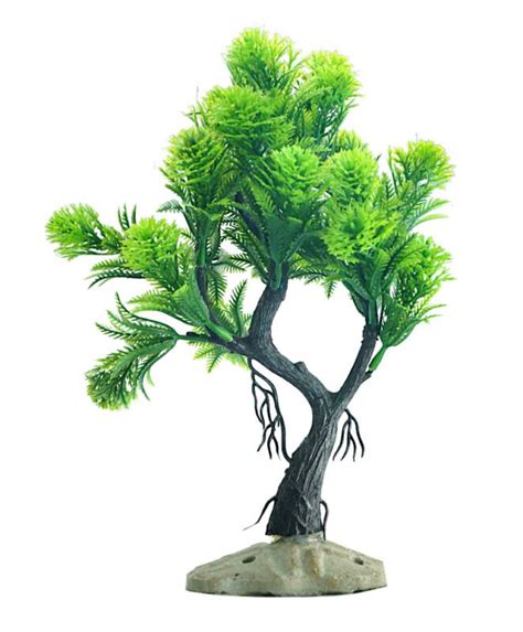 Splashy Fin: Buy Aquarium Accessories & Decor online! Shipping .